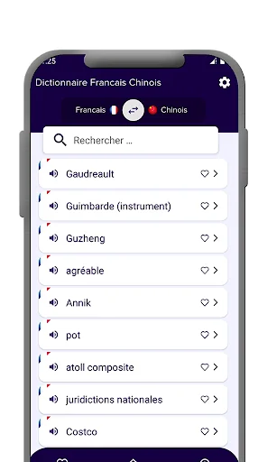 Dictionnaire Francais Chinois