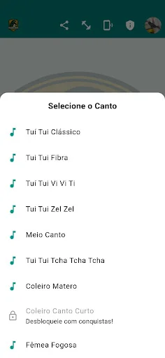 Coleiro Fibra Campeão screenshot 2
