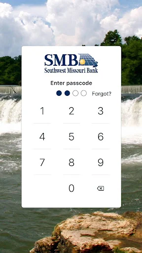 SMB Online screenshot 1