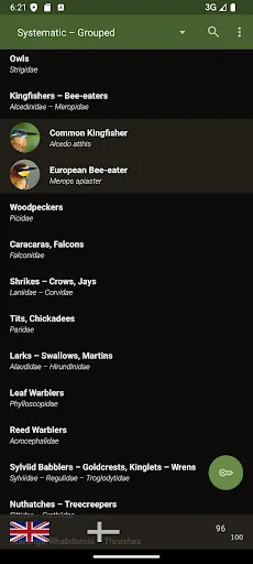 Little Bird Guide: Aves Europe