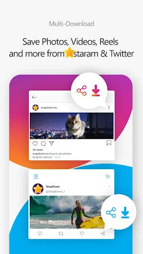 Downloader for Social Network