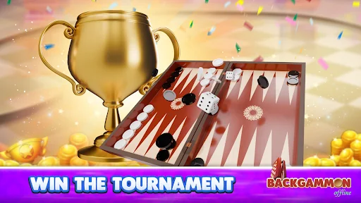 Backgammon Offline screenshot 3
