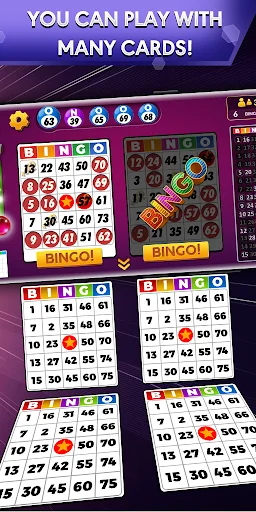 Bingo - Offline Bingo Game screenshot 1
