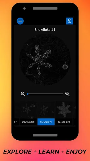 Snowflakes Under Microscope