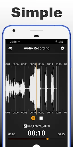 Audio Recording