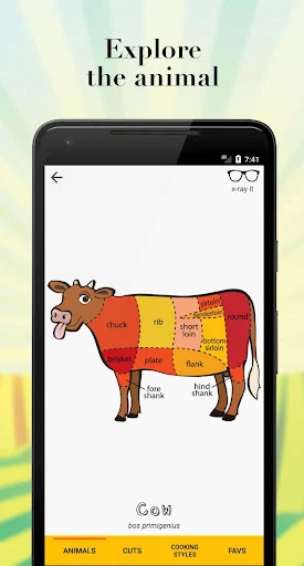 Nose to Tail: Cuts of Meat