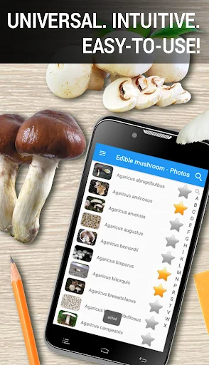 Edible mushroom - Photos screenshot 1