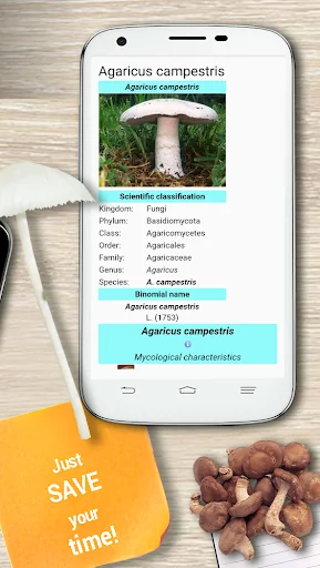 Edible mushroom - Photos screenshot 2