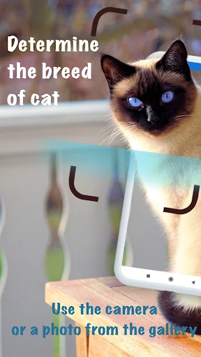 Cat breeds - Smart Identifier screenshot 1