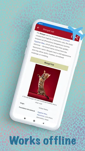 Cat breeds - Smart Identifier screenshot 4