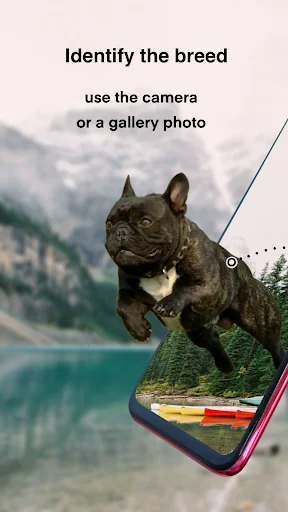 Dog breeds - Smart Identifier