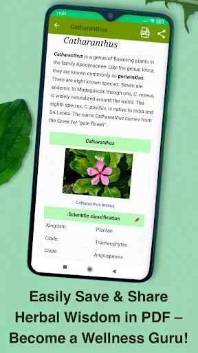 Medicinal Plants & Herbs Guide screenshot 4
