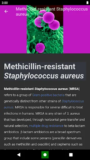 Bacteria: Types, Infections