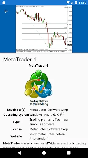 Financial markets