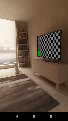 Preview Camera
