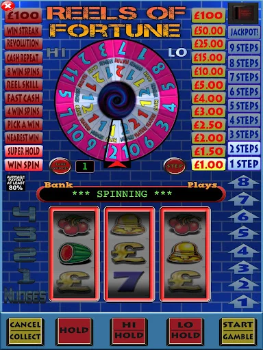 Reels of Fortune Fruit Machine