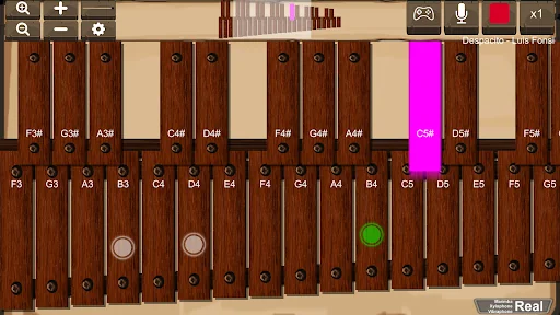 Marimba, Xylophone, Vibraphone