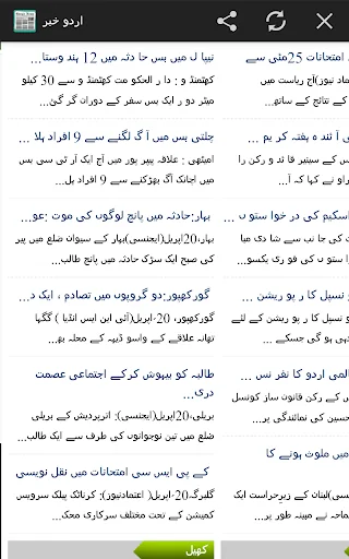Urdu News India All Newspapers screenshot 2