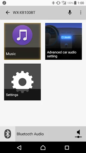 Advanced car audio setting screenshot 1