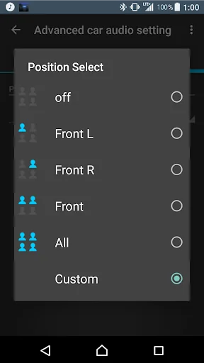 Advanced car audio setting screenshot 4