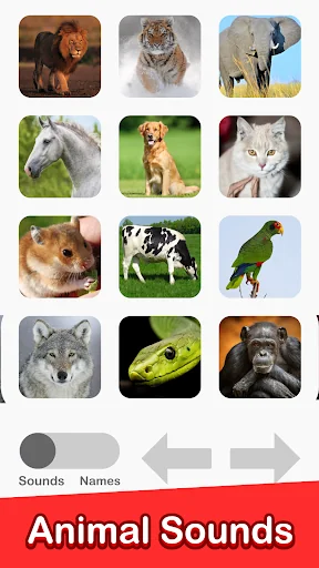 Animal Sounds - 100 Buttons!