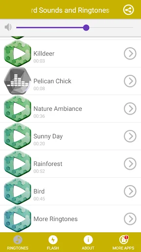 Bird Sounds and Ringtones screenshot 1