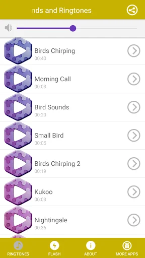 Bird Sounds and Ringtones screenshot 3
