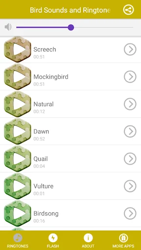 Bird Sounds and Ringtones screenshot 4