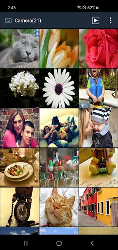 Secure Gallery (Lock/Hide Pict screenshot 2