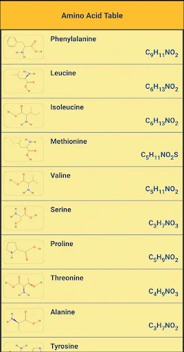 Amino Acid Table