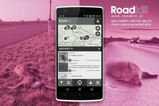 Roadkill | SPOTTERON