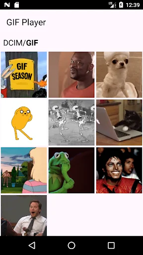 GIF Player & Viewer
