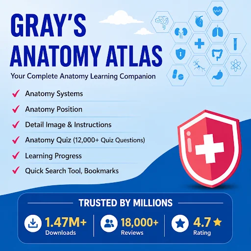 Gray's Anatomy - Anatomy Atlas