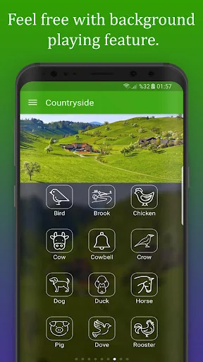 Mood: Relaxing Sounds & Sleep screenshot 4