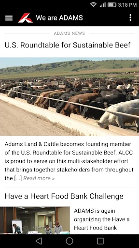 We are ADAMS