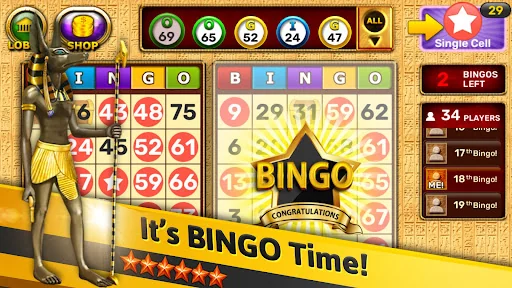 Bingo - Pharaoh's Way screenshot 1