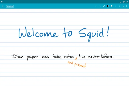 Squid EDU Bulk License