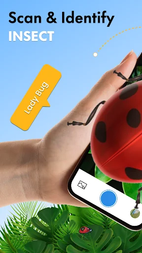 Insect Identifier App screenshot 1