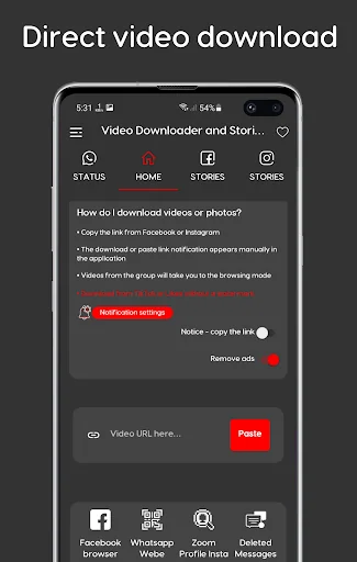 Video Downloader and Stories