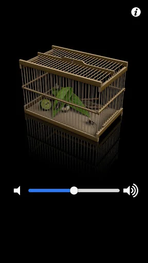 Insect Cage