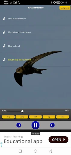 MP3 suara walet