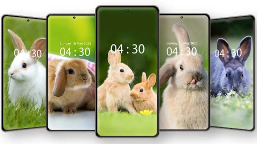 Cute Rabbit Wallpaper HD screenshot 3