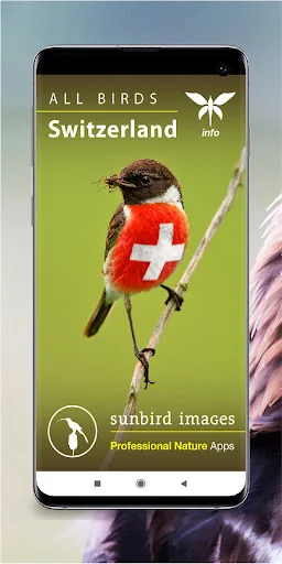 All Birds Switzerland