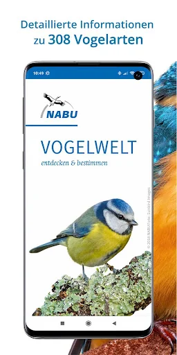 NABU Vogelwelt Vögel Bestimmen
