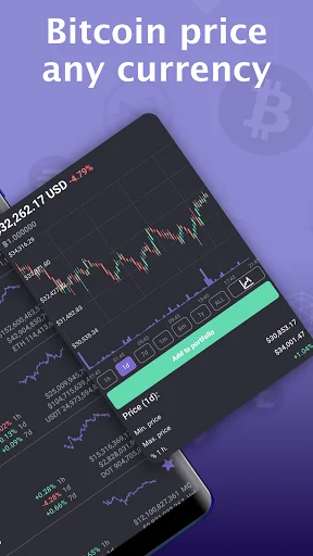 Bitcoin price - Cryptocurrency screenshot 2