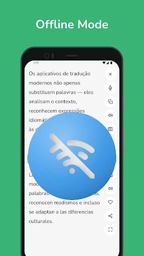 Portuguese - Spanish Translato screenshot 2