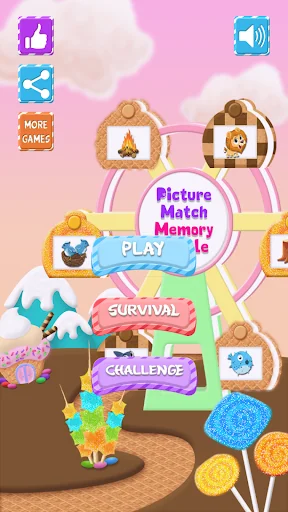 Picture Match : Memory Puzzle