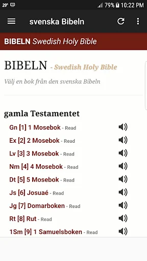 Swedish Holy Bible