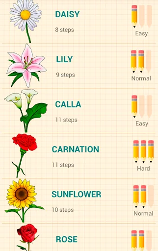 How to Draw Flowers