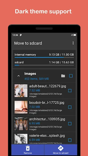 Move files to SD card screenshot 3